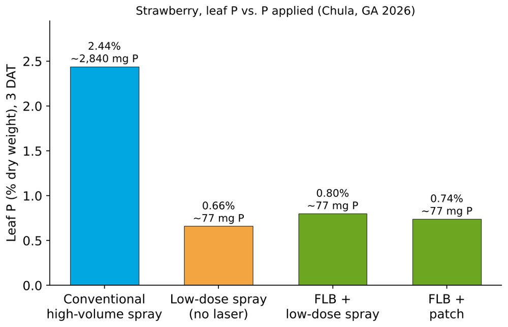 Strawberry leaf phosphorus by treatment and P applied